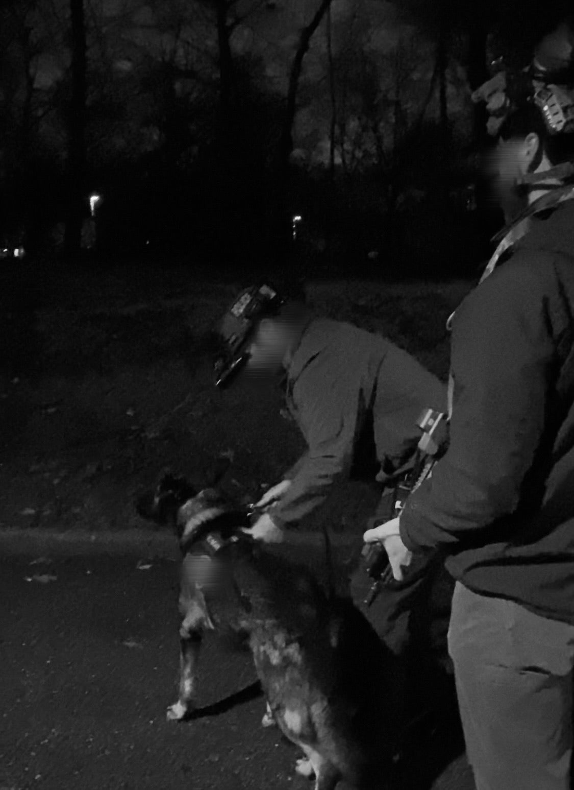 K9 Tracking Team / Night Vision Integration
